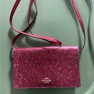 Coach Wizard of OZ purse